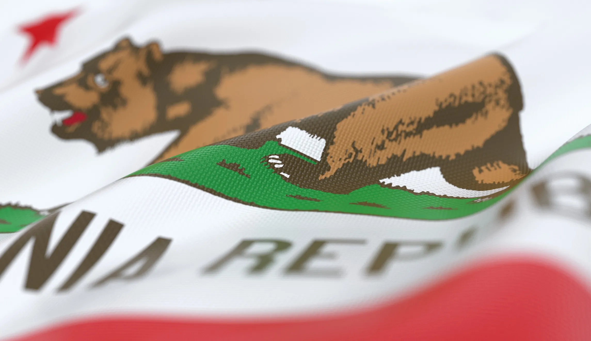 Does California have America’s first pro-terrorist city?