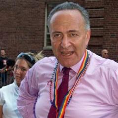 Schumer: ‘Democrats Must Embrace Government’