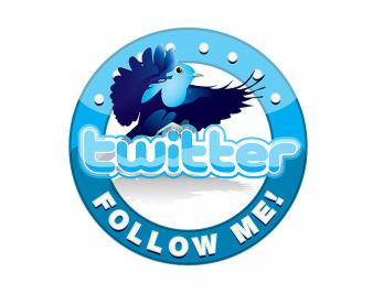 Twitter Bug