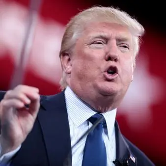 When Donald Met Ross (and Jesse the Body)