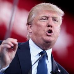 ‘Losing the Primary to Win the General’