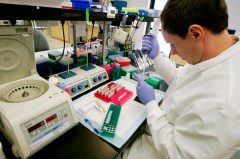 Researchers excited by Obama’s support for ‘personalized medicine’