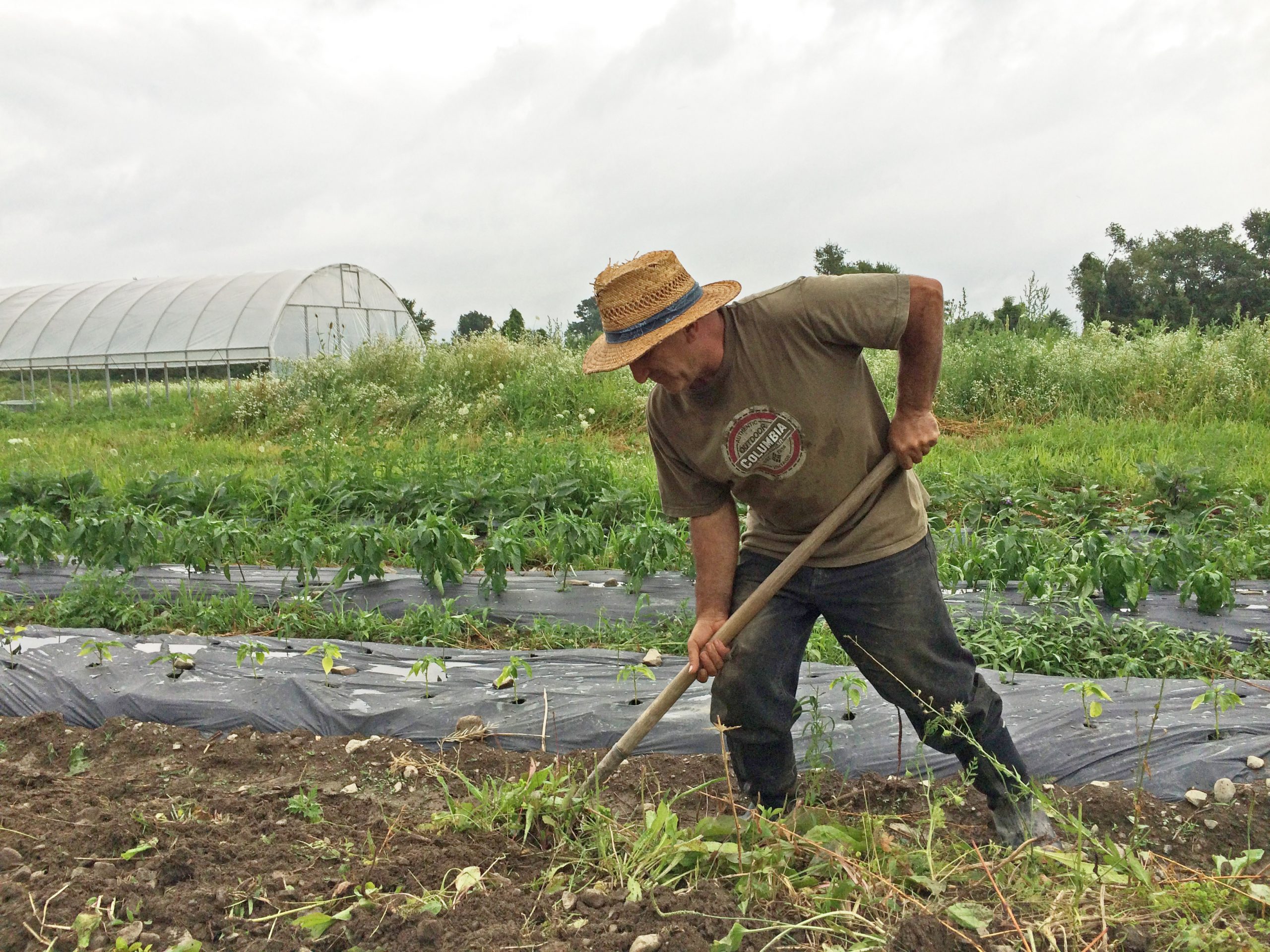 Incubator farms nurture agriculture entrepreneurs