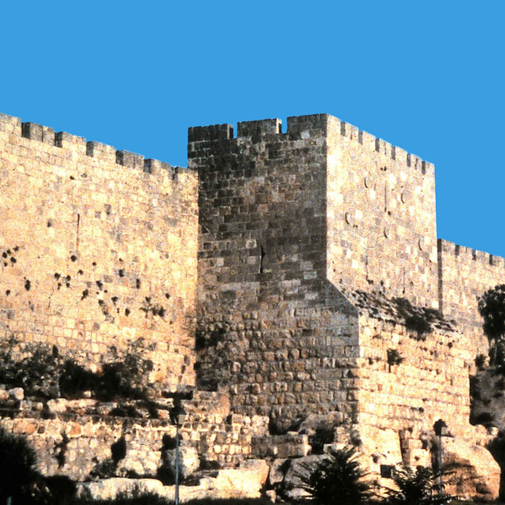 Nehemiah: The Whole Story