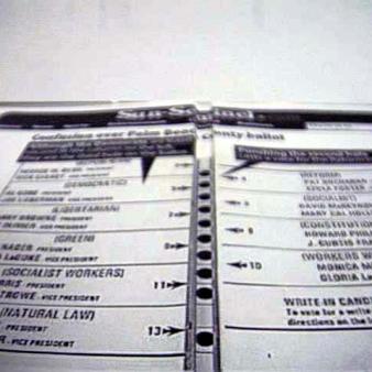 Michigan Democratic Party Officials Charged for Electioneering