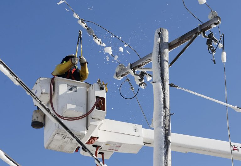 The EIA reported downed trees caused by heavy snow and high winds could bring down power lines. (AP Photo/Michael Dwyer)