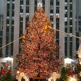 Reason to Be Jolly this Holiday Season