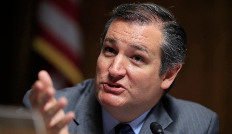 Sen. Ted Cruz, R-Texas, told Republicans that 