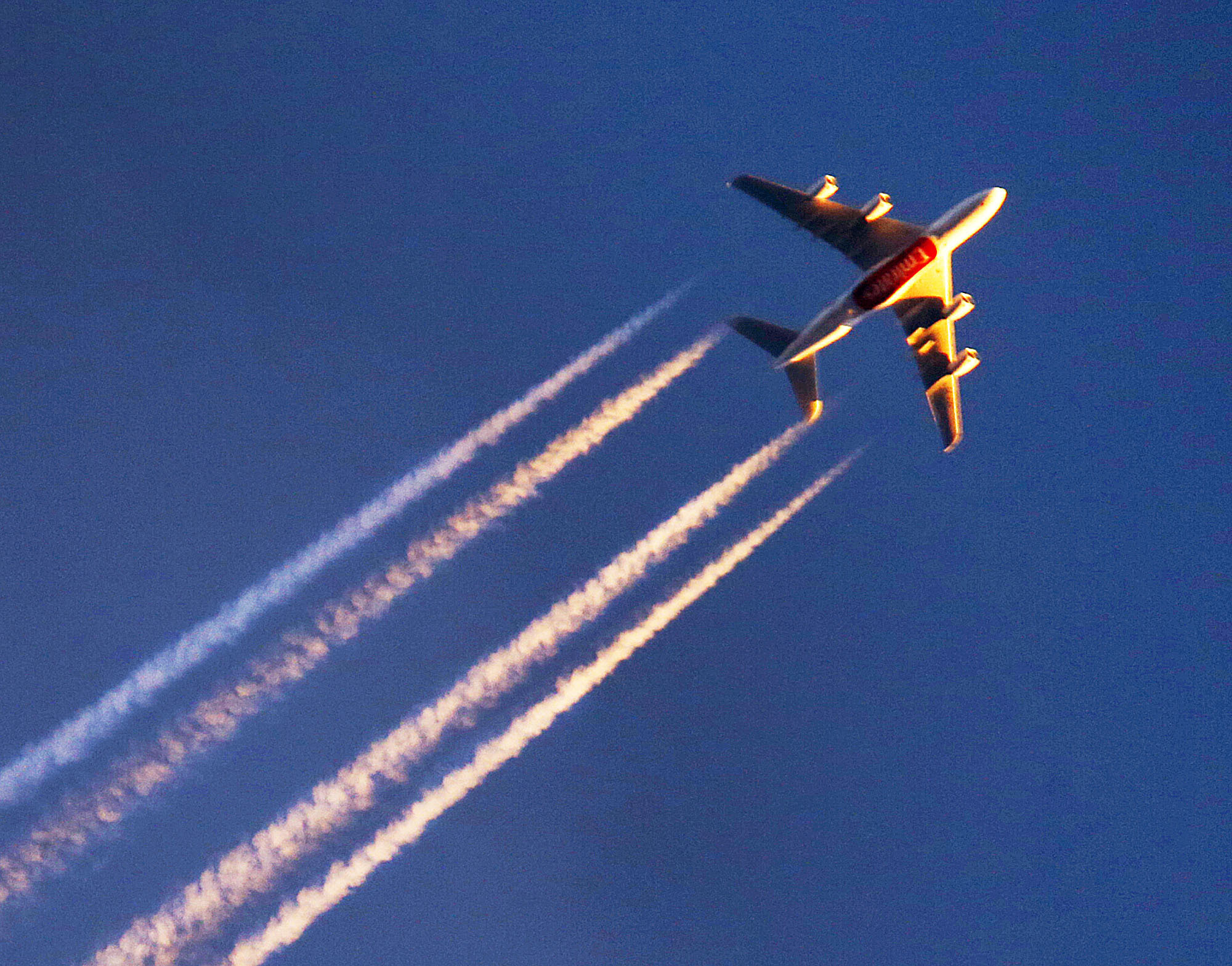 Airlines press Trump to act against Gulf countries accused of violating Open Skies