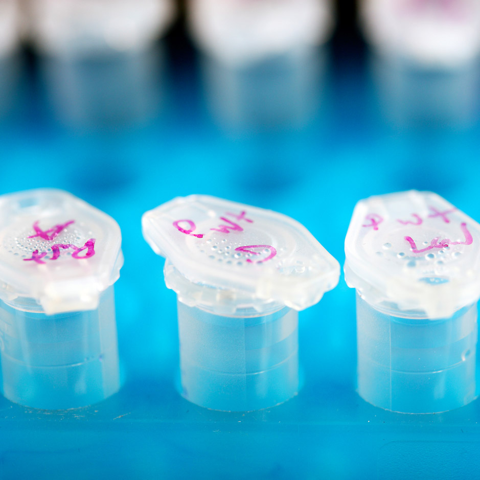 The FDA vs. Information