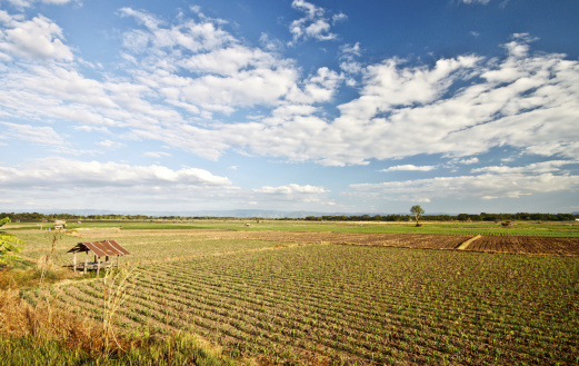 The (green) empire strikes back against ethanol critics