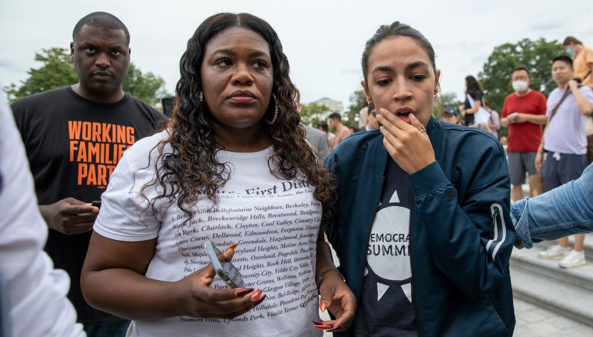 Congressional Democrats reel over Rittenhouse acquittal, call for DOJ review, and claim 'white supremacy'