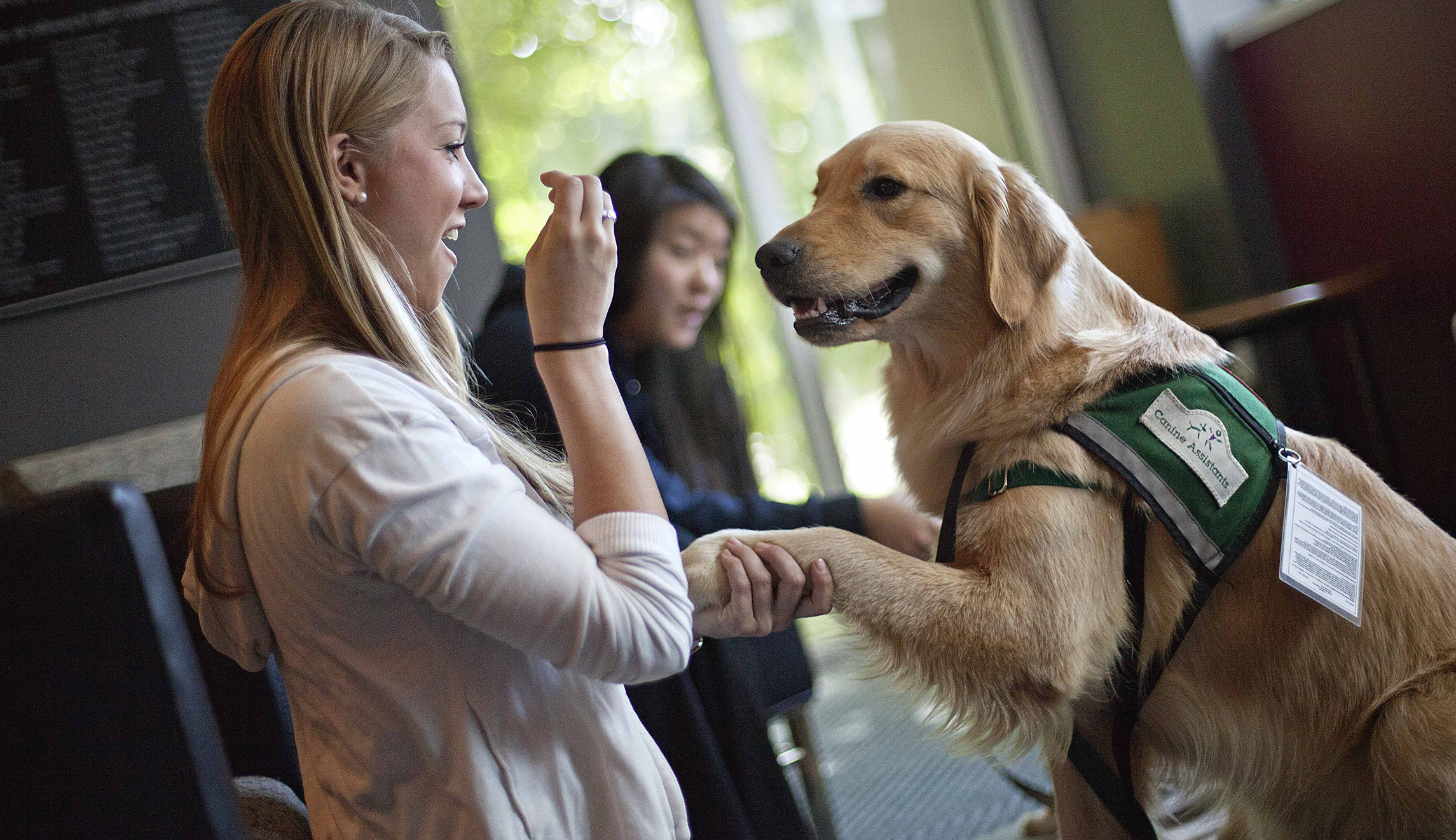 Safe spaces: An insult to young scholars