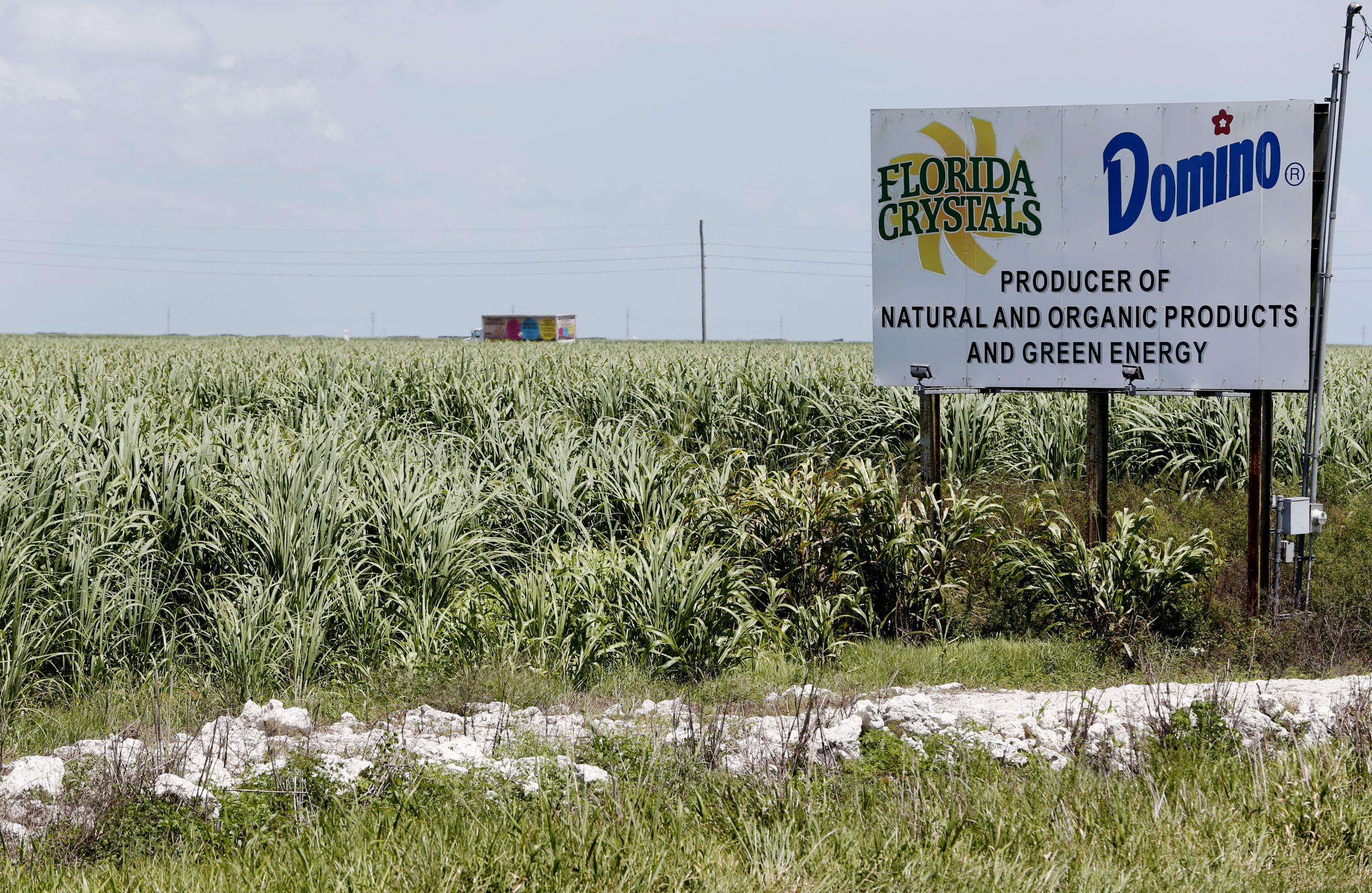 Republicans can either reform the sugar program, or confirm that liberals are right about them