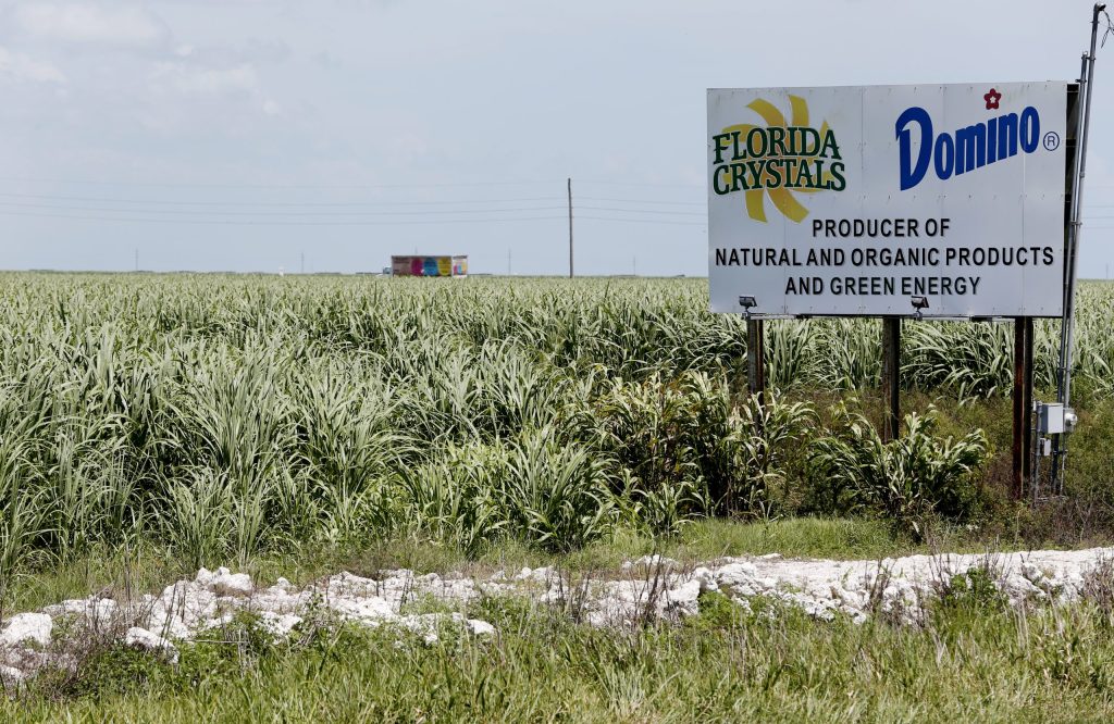 Republicans can either reform the sugar program, or confirm that liberals are right about them