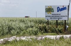 Republicans can either reform the sugar program, or confirm that liberals are right about them