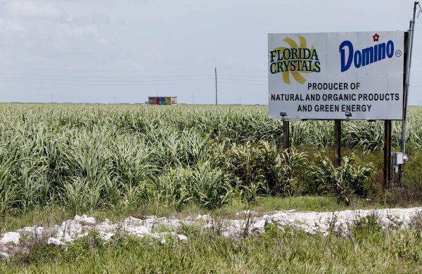 Republicans can either reform the sugar program, or confirm that liberals are right about them