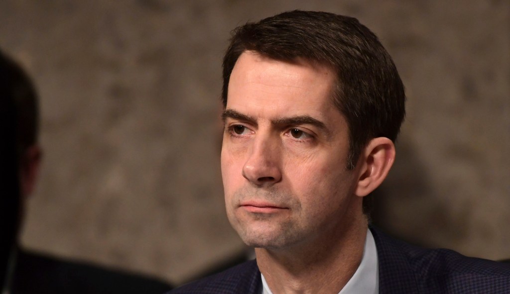 Tom Cotton: Biden should hold press conference on Hunter business affairs
