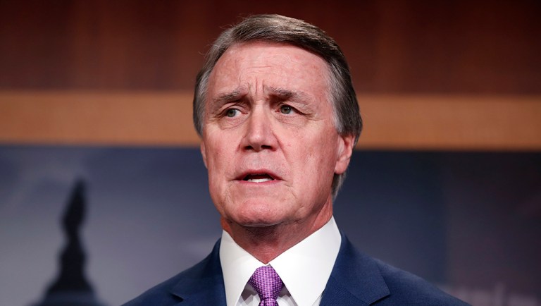 Sen. David Perdue, R-Ga., speaks during a news conference about an immigration bill.