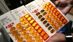To fight the opioid crisis, the US needs to look at what works