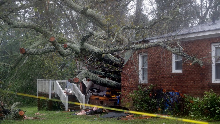 A fallen tree is shown after it crashed through the home where a woman and her baby were killed in Wilmington, N.C.