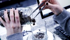 32 states have legalized medical marijuana and 10 will let you smoke it