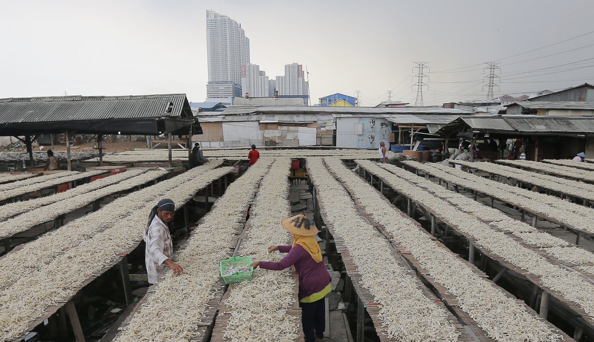 Don’t let climate change ‘solutions’ halt the miraculous progress against world poverty