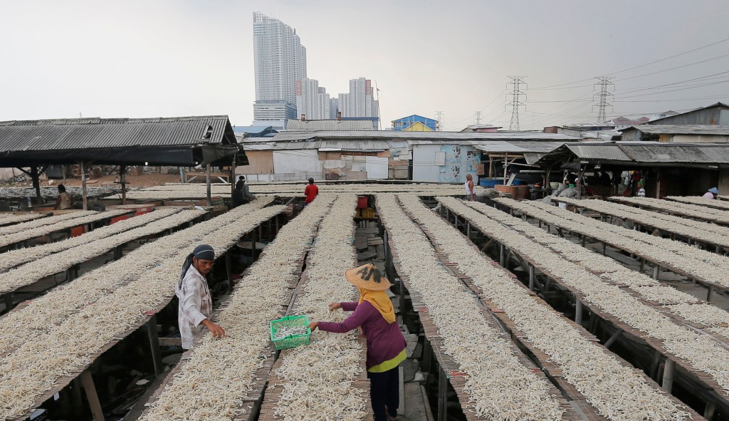 Don’t let climate change ‘solutions’ halt the miraculous progress against world poverty