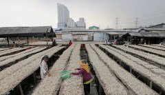 Don’t let climate change ‘solutions’ halt the miraculous progress against world poverty
