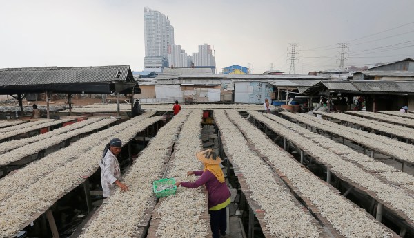 Don’t let climate change ‘solutions’ halt the miraculous progress against world poverty
