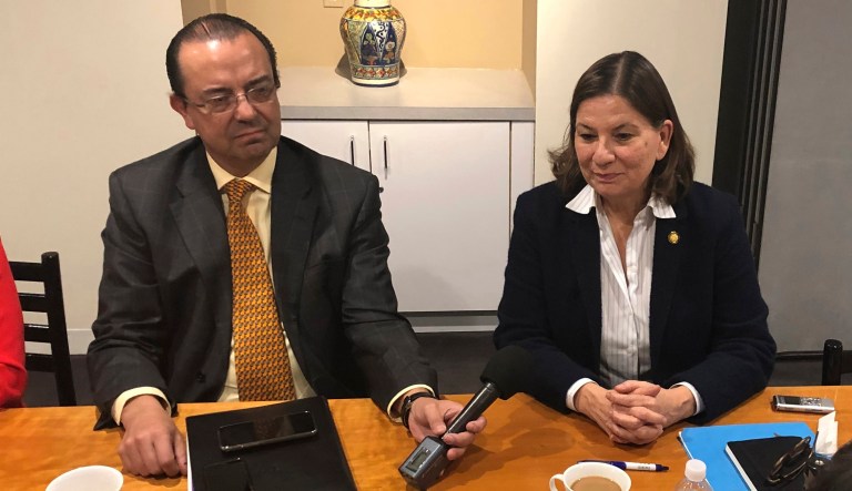 New Mexican ambassador to the U.S., Martha Barcena talks to reporters at the Mexican embassy in Washington, Thursday, Jan. 17, 2019. 