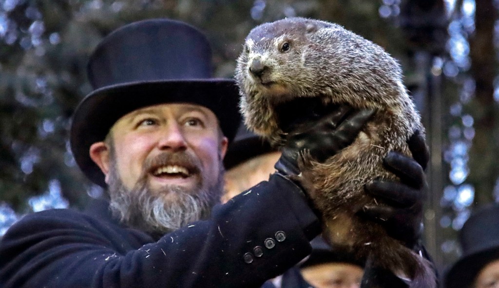 Spring is coming: US groundhogs prognosticate during polar vortex