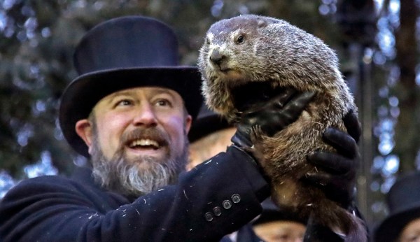 ‘Tradition is no excuse for cruelty’: PETA calls for a robot to replace Punxsutawney Phil as groundhog