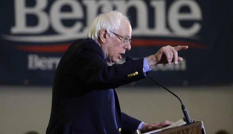 2020 Democratic presidential candidate Sen. Bernie Sanders addresses a rally during a campaign stop, Sunday, March 10, 2019, in Concord, N.H. 