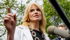 Kellyanne Conway asks if Democrats are ‘racist and sexist’ for favoring Biden, Sanders