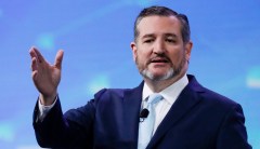 Cruz: Overwhelmed DHS must start accepting private donations