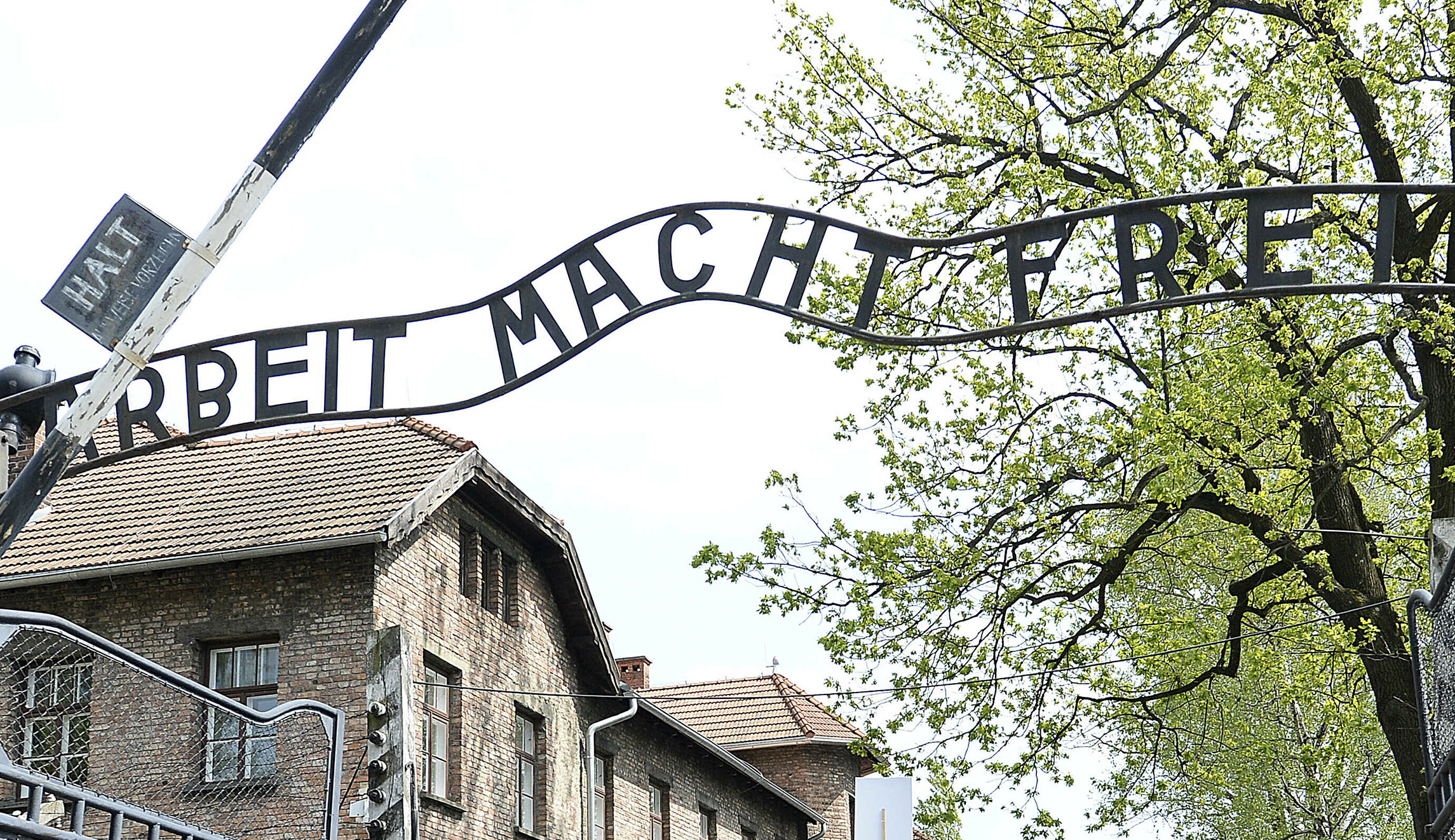 ‘Work will set you free’: US Army commander suspended for using Auschwitz slogan to boost recruiting