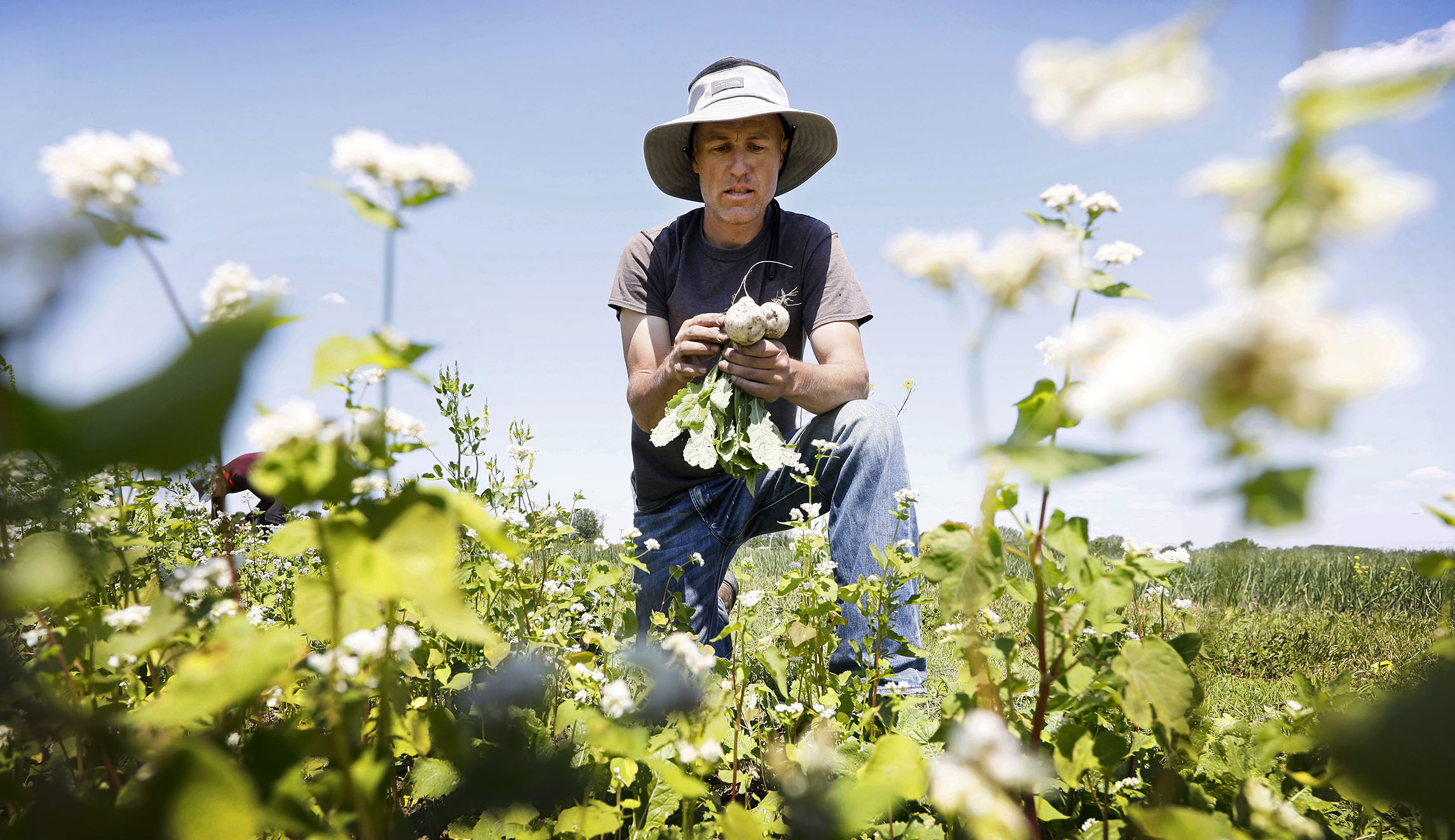 Aid to make up for Trump trade wars mostly going to largest farmers
