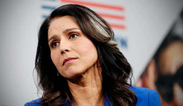 Tulsi Gabbard slams Adam Schiff, John Brennan, and Big Tech as ‘domestic enemies’ more dangerous than Capitol rioters