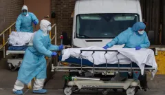 Here’s evidence coronavirus has hit a plateau in the US