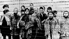 Fitness textbook: Holocaust victims ‘did not tap into the strength that comes from their intrinsic worth’