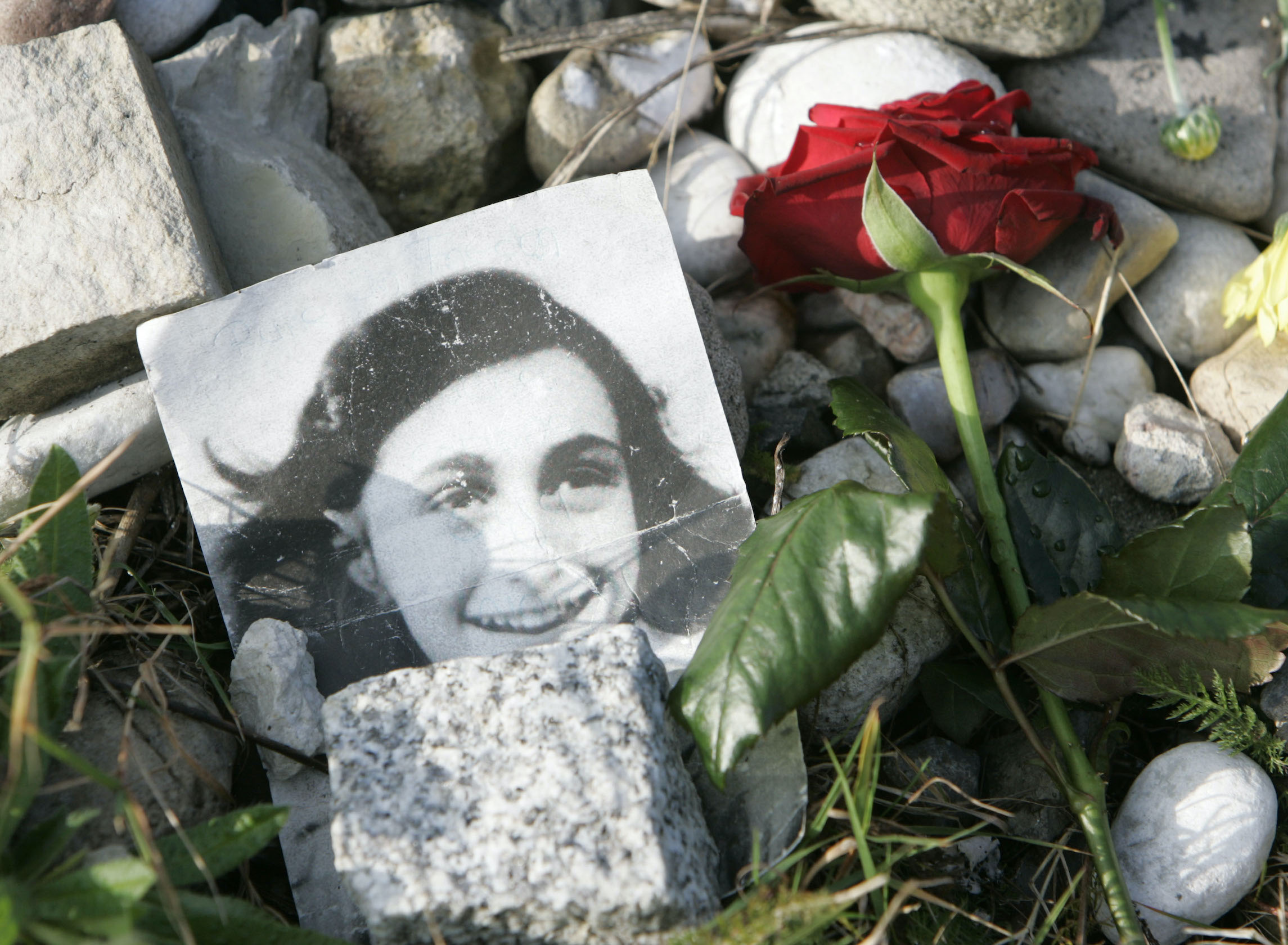 Woke Jewish groups have stopped caring about antisemitism