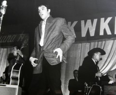 Elvis makes comeback on the small screen