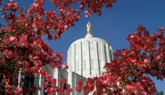 Oregon lawmakers renew uphill battle against mandatory sentencing