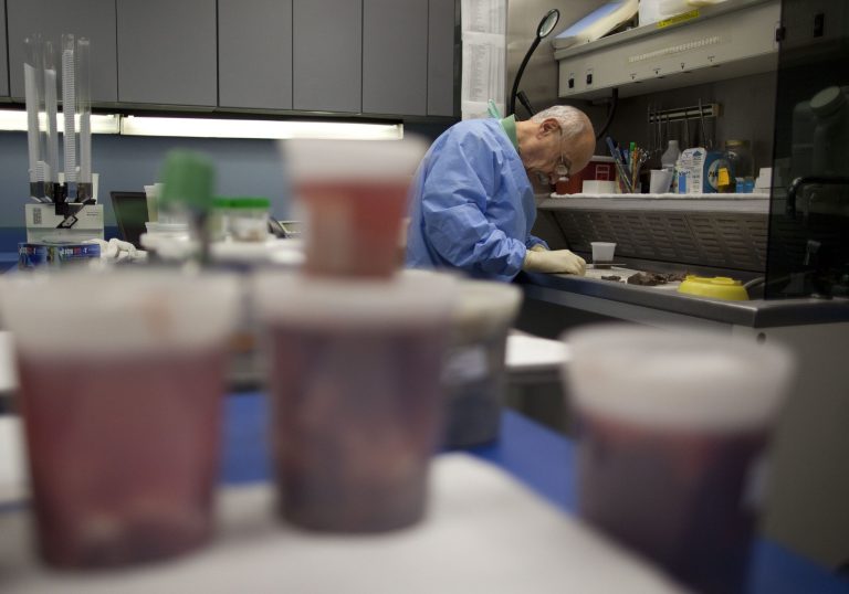 Coroner’s office disputes Colorado coronavirus death claim, says victim died from alcohol poisoning