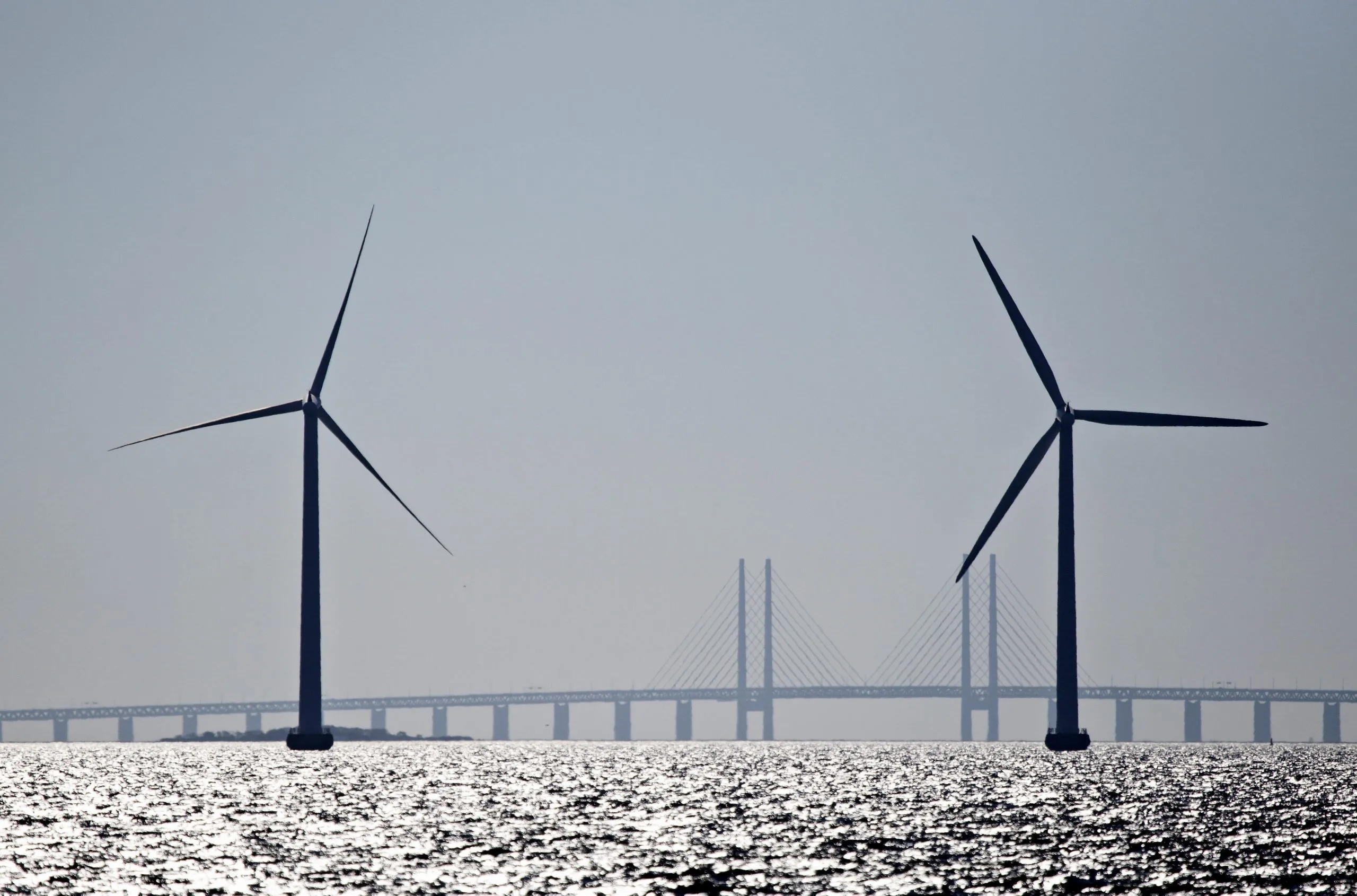 As Illinois aims to add more wind farms, concerns raised about wildlife