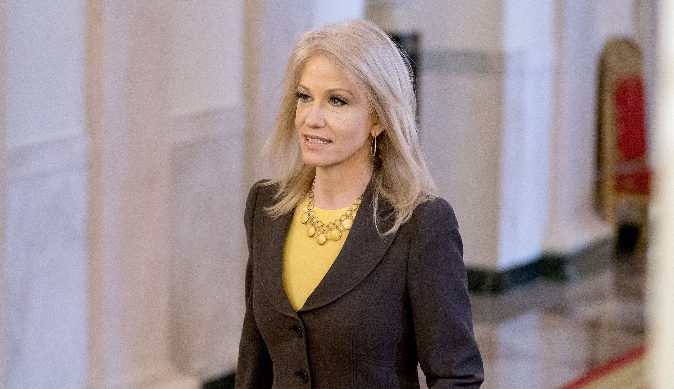 ‘I’m married to an Asian’: Kellyanne Conway defends Trump calling coronavirus ‘China virus’
