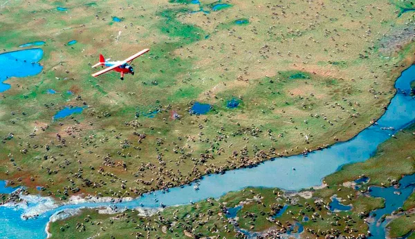 The problem with Trump’s plan to drill in Arctic refuge