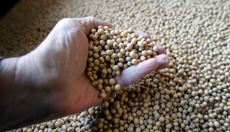 USDA officials identify some seeds mysteriously mailed from China