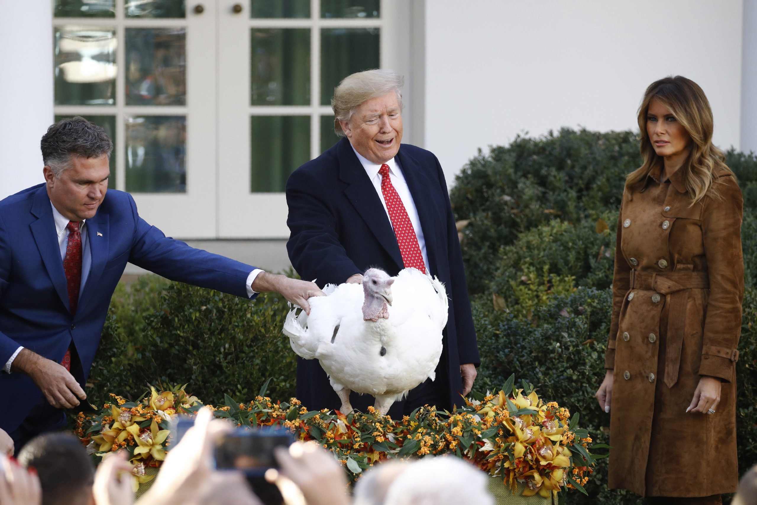 It’s ‘crazy,’ but Trump’s pardoned Thanksgiving turkeys are still gobbling